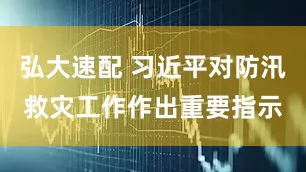 弘大速配 習近平對防汛救災工作作出重要指示