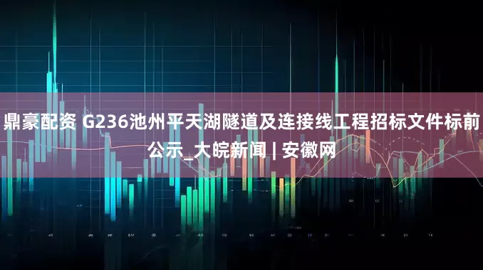鼎豪配資 G236池州平天湖隧道及連接線工程招標文件標前公示_大皖新聞 | 安徽網