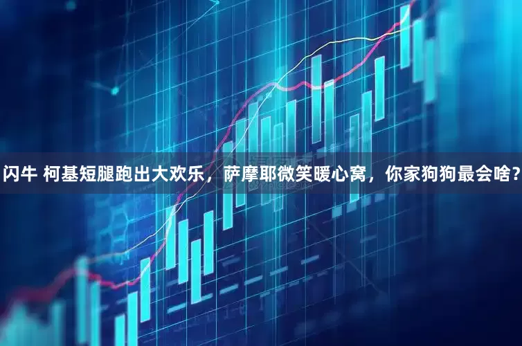 閃牛 柯基短腿跑出大歡樂,薩摩耶微笑暖心窩,你家狗狗最會啥?